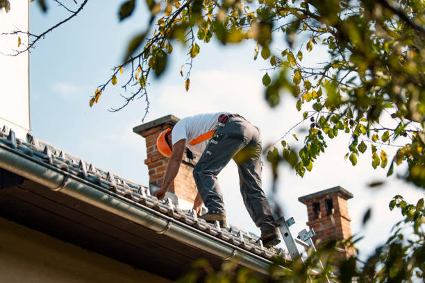 Quick and Trustworthy Emergency Roof Repair Services in Freeland, WA